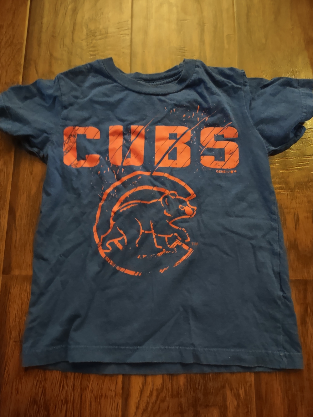 Cubs Graphic Kids T-Shirt